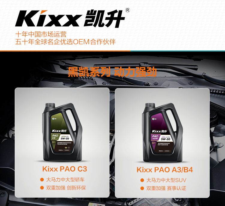 GS (Kixx)凱升 100%PAO全合成機(jī)油 0W-30 SN級(jí) 黑凱系列 4L-第9張圖片-鄭州市冠恒貿(mào)易有限公司【官方網(wǎng)站】-車用潤(rùn)滑油服務(wù)專家